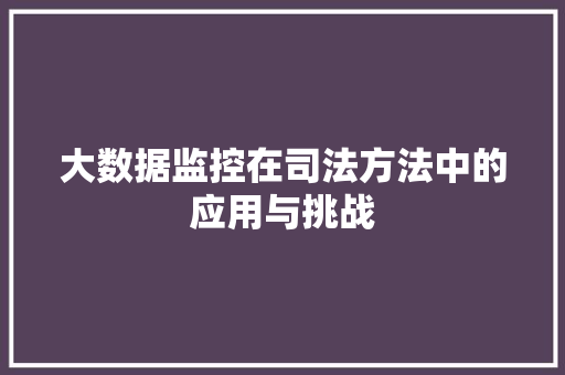 大数据监控在司法方法中的应用与挑战  第1张