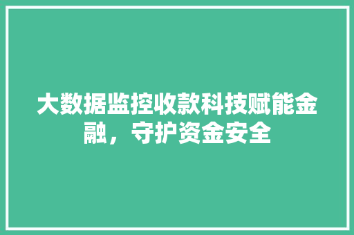 大数据监控收款科技赋能金融，守护资金安全