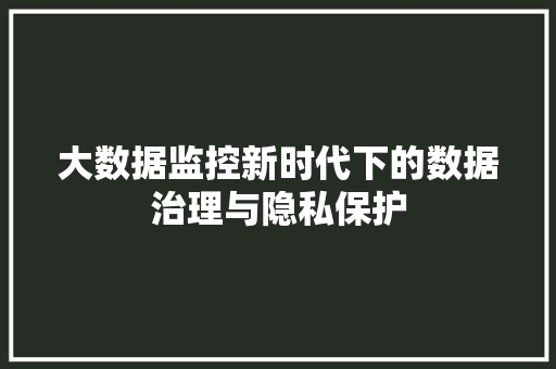 大数据监控新时代下的数据治理与隐私保护  第1张