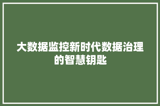 大数据监控新时代数据治理的智慧钥匙  第1张