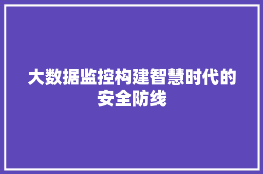 大数据监控构建智慧时代的安全防线  第1张