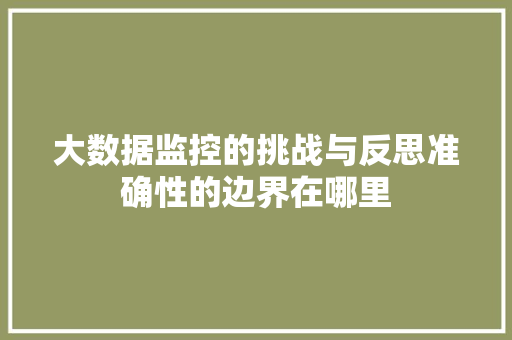 大数据监控的挑战与反思准确性的边界在哪里  第1张