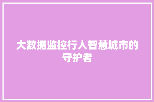大数据监控行人智慧城市的守护者  第1张