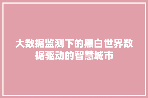 大数据监测下的黑白世界数据驱动的智慧城市  第1张