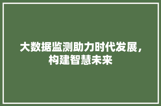 大数据监测助力时代发展，构建智慧未来  第1张