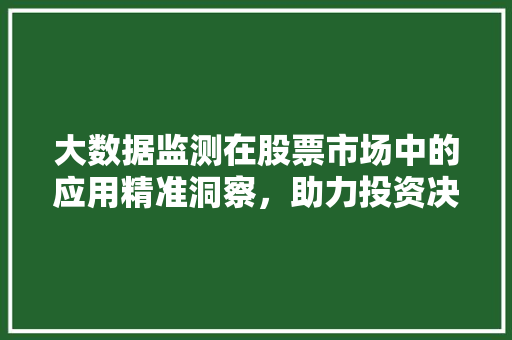 大数据监测在股票市场中的应用精准洞察，助力投资决策  第1张