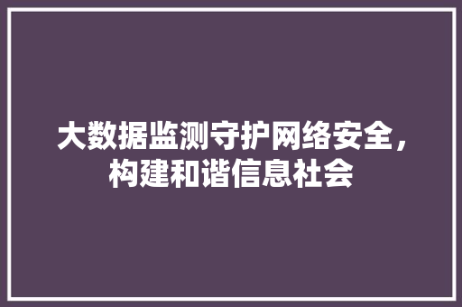 大数据监测守护网络安全，构建和谐信息社会