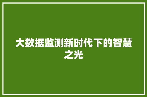 大数据监测新时代下的智慧之光