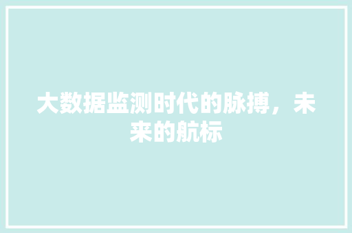 大数据监测时代的脉搏，未来的航标  第1张