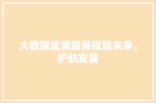大数据监测服务赋能未来，护航发展  第1张