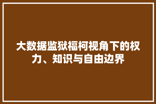 大数据监狱福柯视角下的权力、知识与自由边界