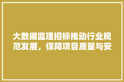 大数据监理招标推动行业规范发展，保障项目质量与安全