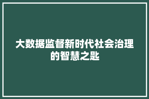 大数据监督新时代社会治理的智慧之匙  第1张