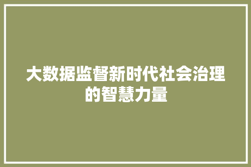 大数据监督新时代社会治理的智慧力量  第1张