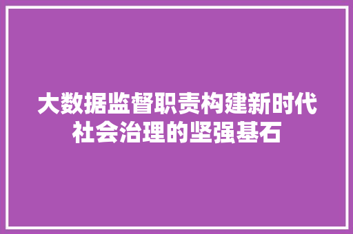大数据监督职责构建新时代社会治理的坚强基石  第1张