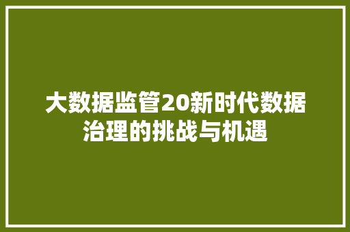 大数据监管20新时代数据治理的挑战与机遇  第1张
