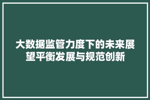 大数据监管力度下的未来展望平衡发展与规范创新  第1张