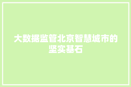 大数据监管北京智慧城市的坚实基石