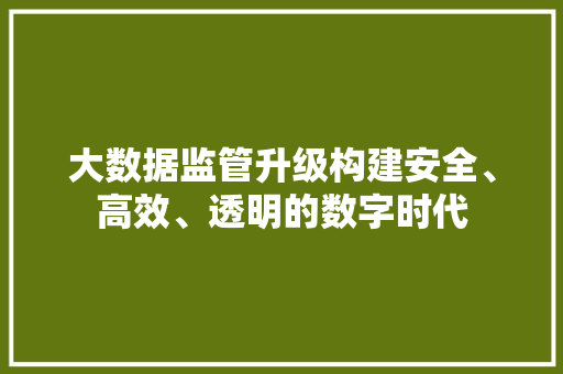 大数据监管升级构建安全、高效、透明的数字时代