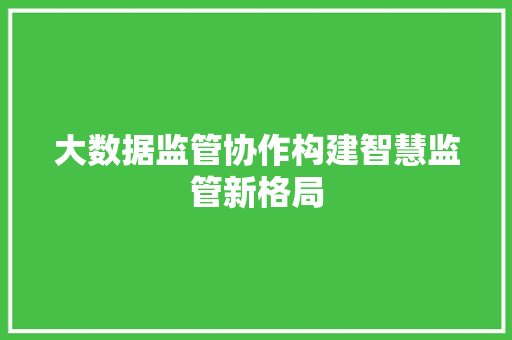 大数据监管协作构建智慧监管新格局