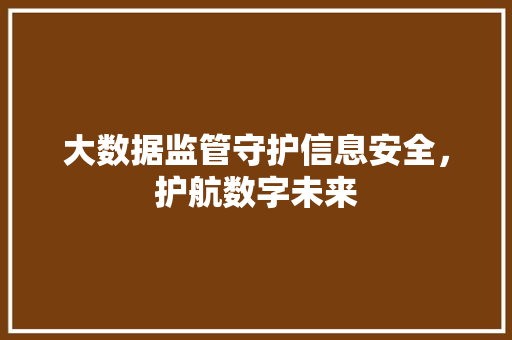 大数据监管守护信息安全，护航数字未来