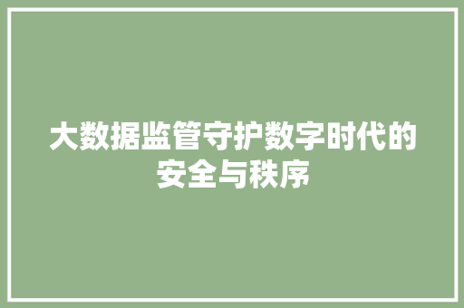 大数据监管守护数字时代的安全与秩序