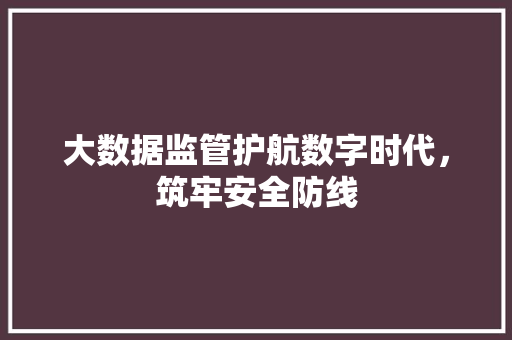 大数据监管护航数字时代，筑牢安全防线  第1张