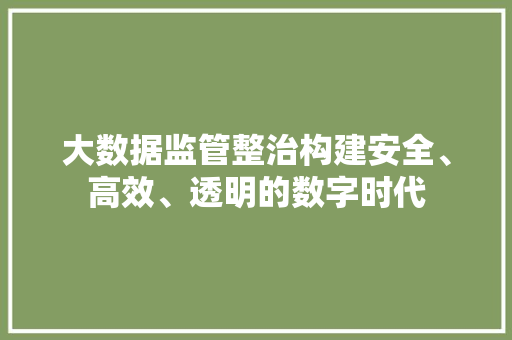 大数据监管整治构建安全、高效、透明的数字时代