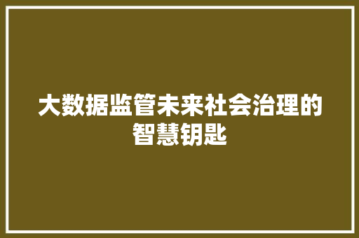 大数据监管未来社会治理的智慧钥匙  第1张