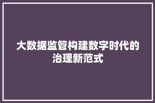 大数据监管构建数字时代的治理新范式  第1张