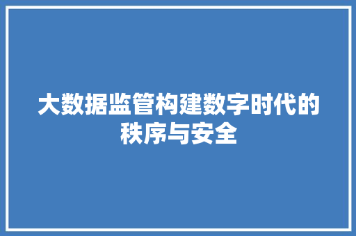 大数据监管构建数字时代的秩序与安全  第1张