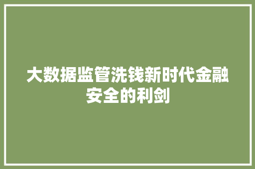 大数据监管洗钱新时代金融安全的利剑