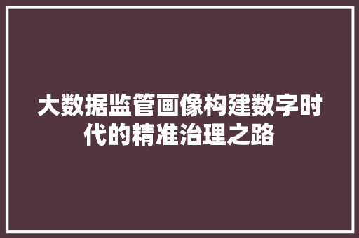 大数据监管画像构建数字时代的精准治理之路  第1张