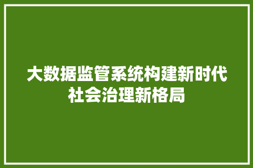 大数据监管系统构建新时代社会治理新格局  第1张