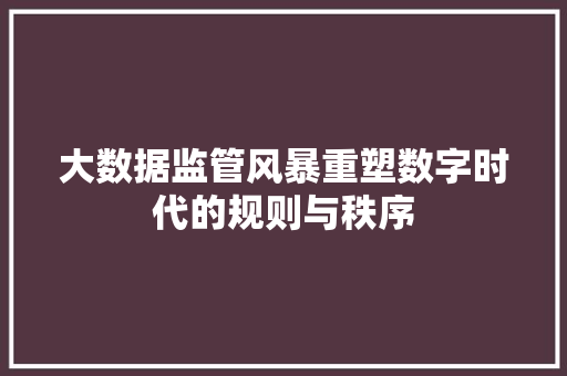 大数据监管风暴重塑数字时代的规则与秩序  第1张