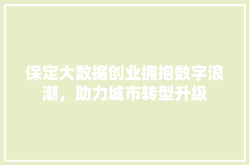 保定大数据创业拥抱数字浪潮，助力城市转型升级  第1张