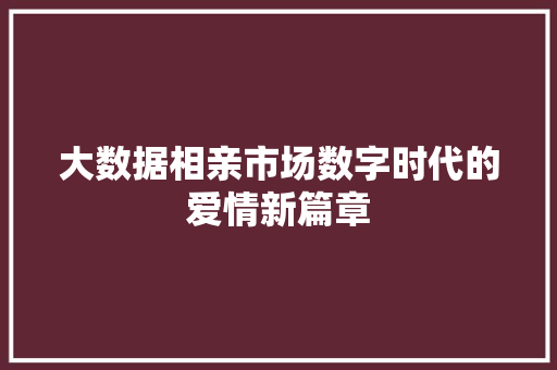 大数据相亲市场数字时代的爱情新篇章  第1张