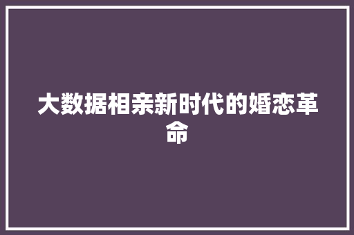 大数据相亲新时代的婚恋革命  第1张