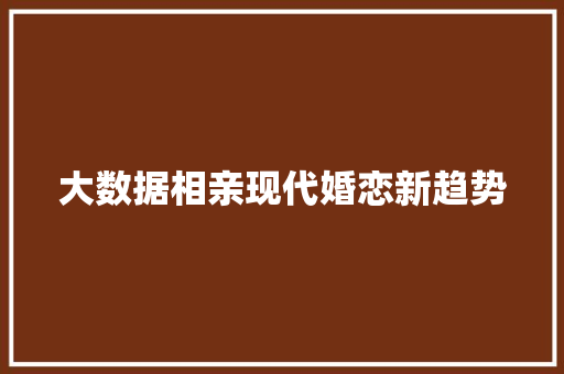 大数据相亲现代婚恋新趋势  第1张