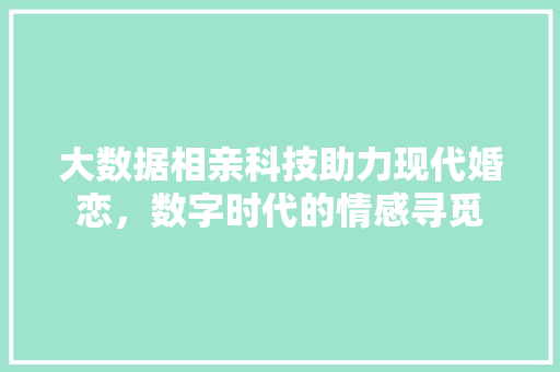 大数据相亲科技助力现代婚恋，数字时代的情感寻觅  第1张