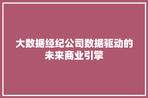 大数据经纪公司数据驱动的未来商业引擎