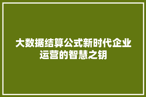 大数据结算公式新时代企业运营的智慧之钥