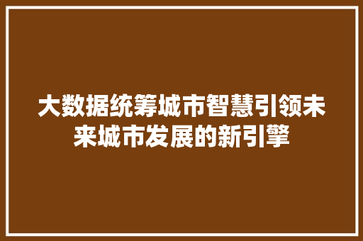 大数据统筹城市智慧引领未来城市发展的新引擎  第1张