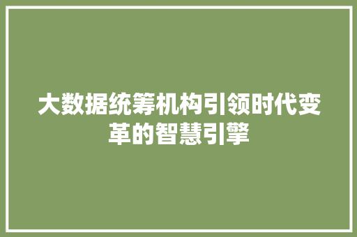 大数据统筹机构引领时代变革的智慧引擎