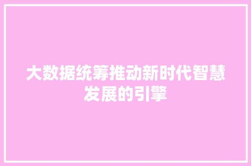 大数据统筹推动新时代智慧发展的引擎