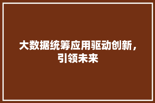 大数据统筹应用驱动创新，引领未来  第1张