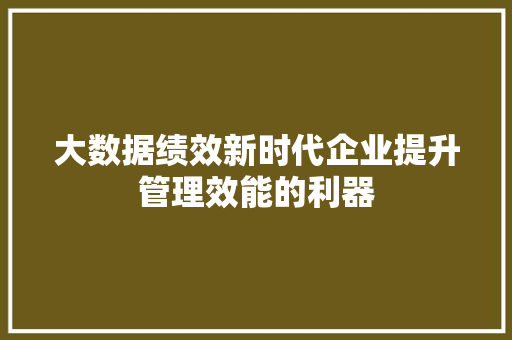 大数据绩效新时代企业提升管理效能的利器