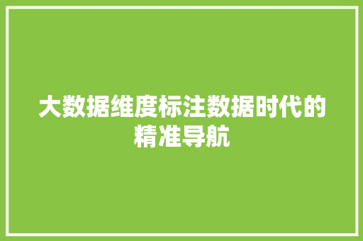 大数据维度标注数据时代的精准导航  第1张