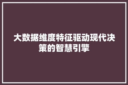 大数据维度特征驱动现代决策的智慧引擎  第1张