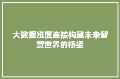 大数据维度连接构建未来智慧世界的桥梁  第1张